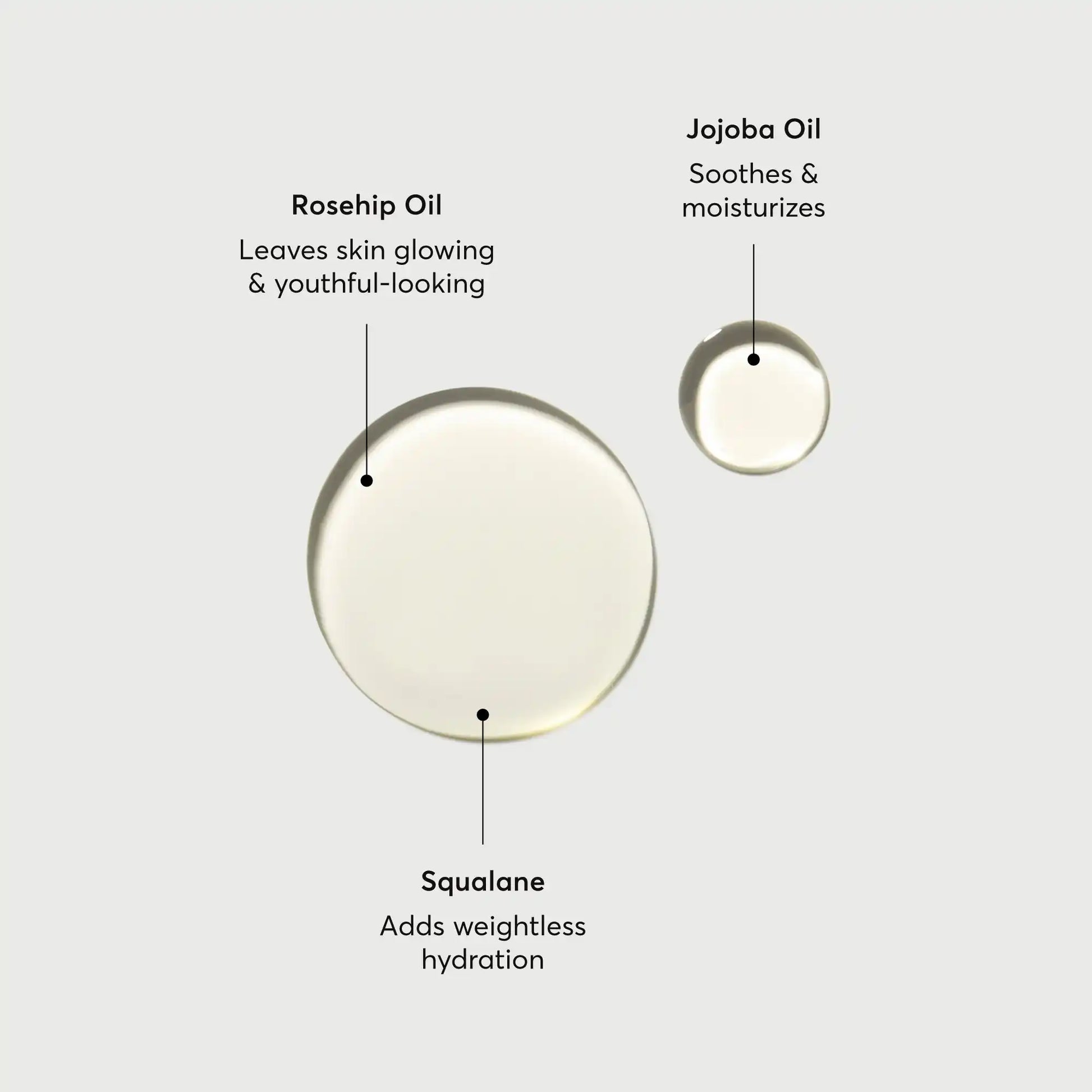 the-glow-getter-body-oil-k1 NATR-10115-Alt-Images-The-Glow-Getter-Body-Oil-01.webp