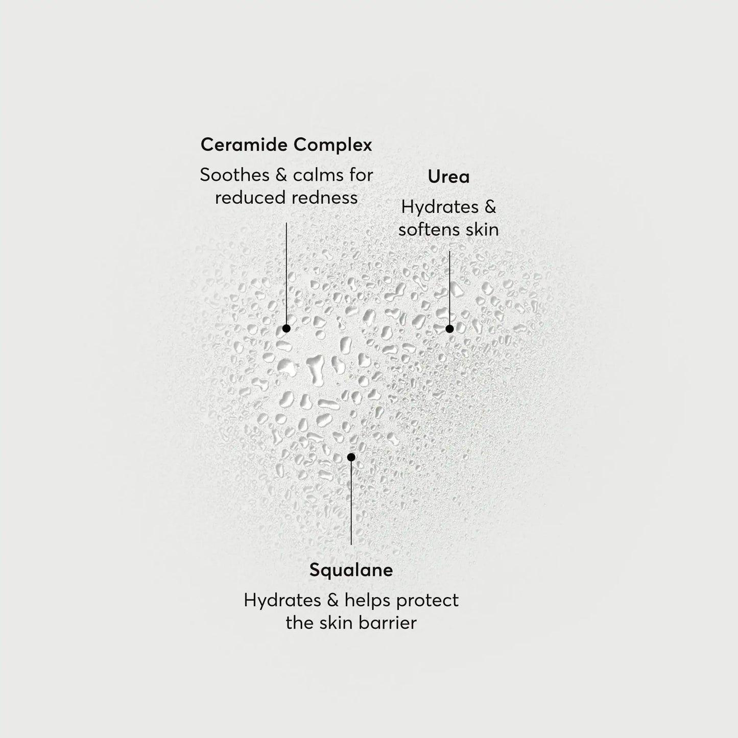 barrier-bounce-bi-phase-mist-o6 NATR-10167-Alt-Images-Barrier-Bounce-Bi-Phase-Toner-Mist_01.webp