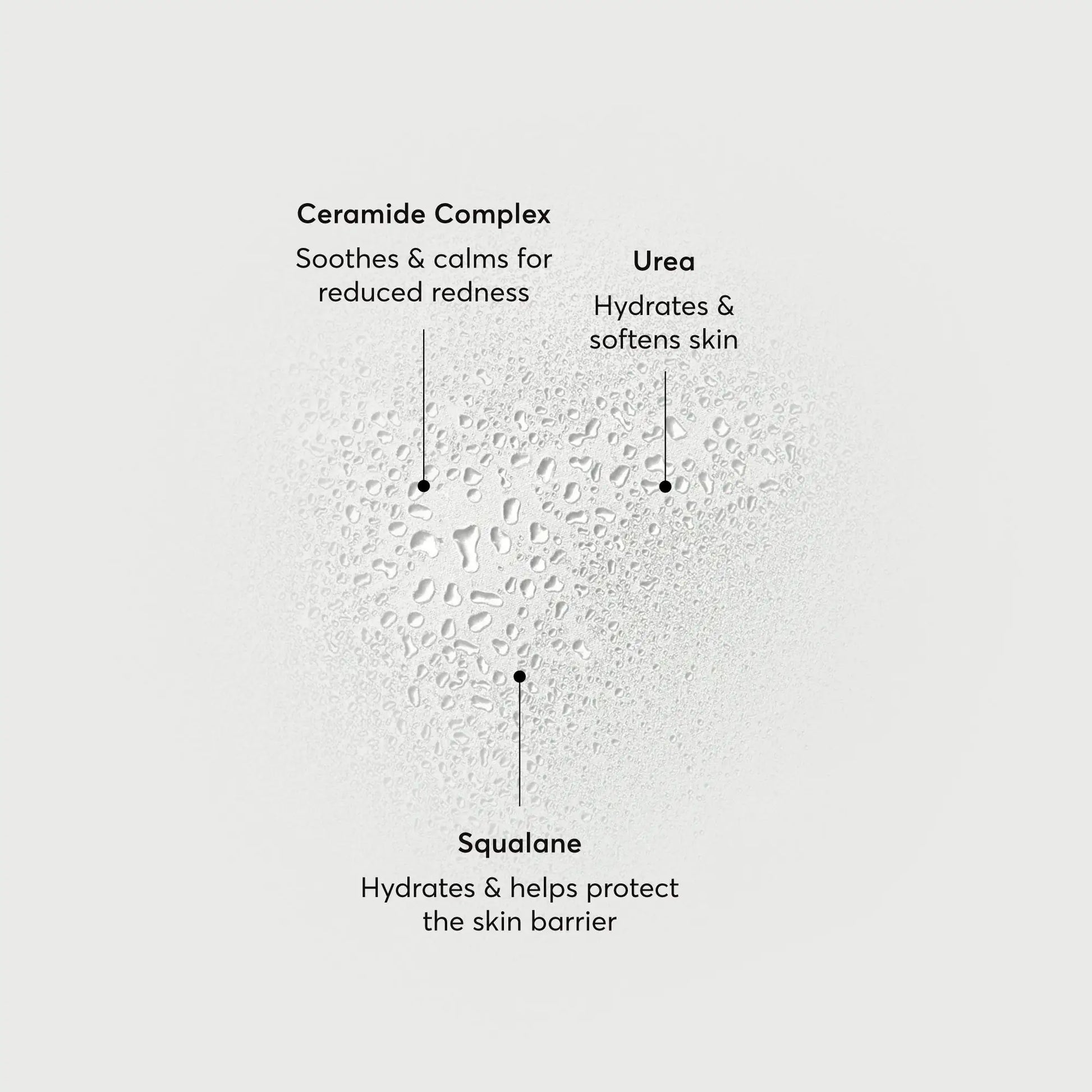 barrier-bounce-bi-phase-mist-o6 NATR-10167-Alt-Images-Barrier-Bounce-Bi-Phase-Toner-Mist_01.webp